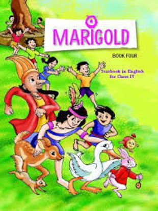 Picture of Marigold -English -4