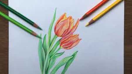 Picture for category Pencil Colours